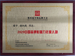 2020中国品牌影响力年度人物