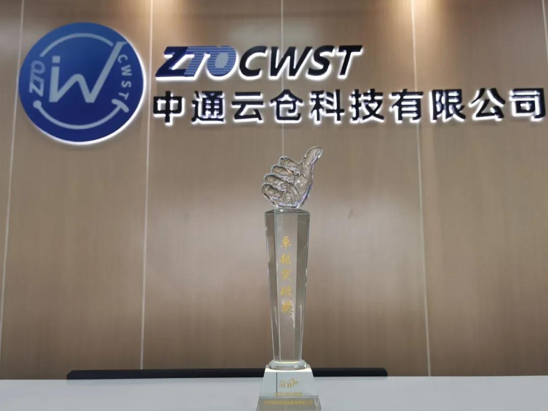 2020双11战役卓越突破奖